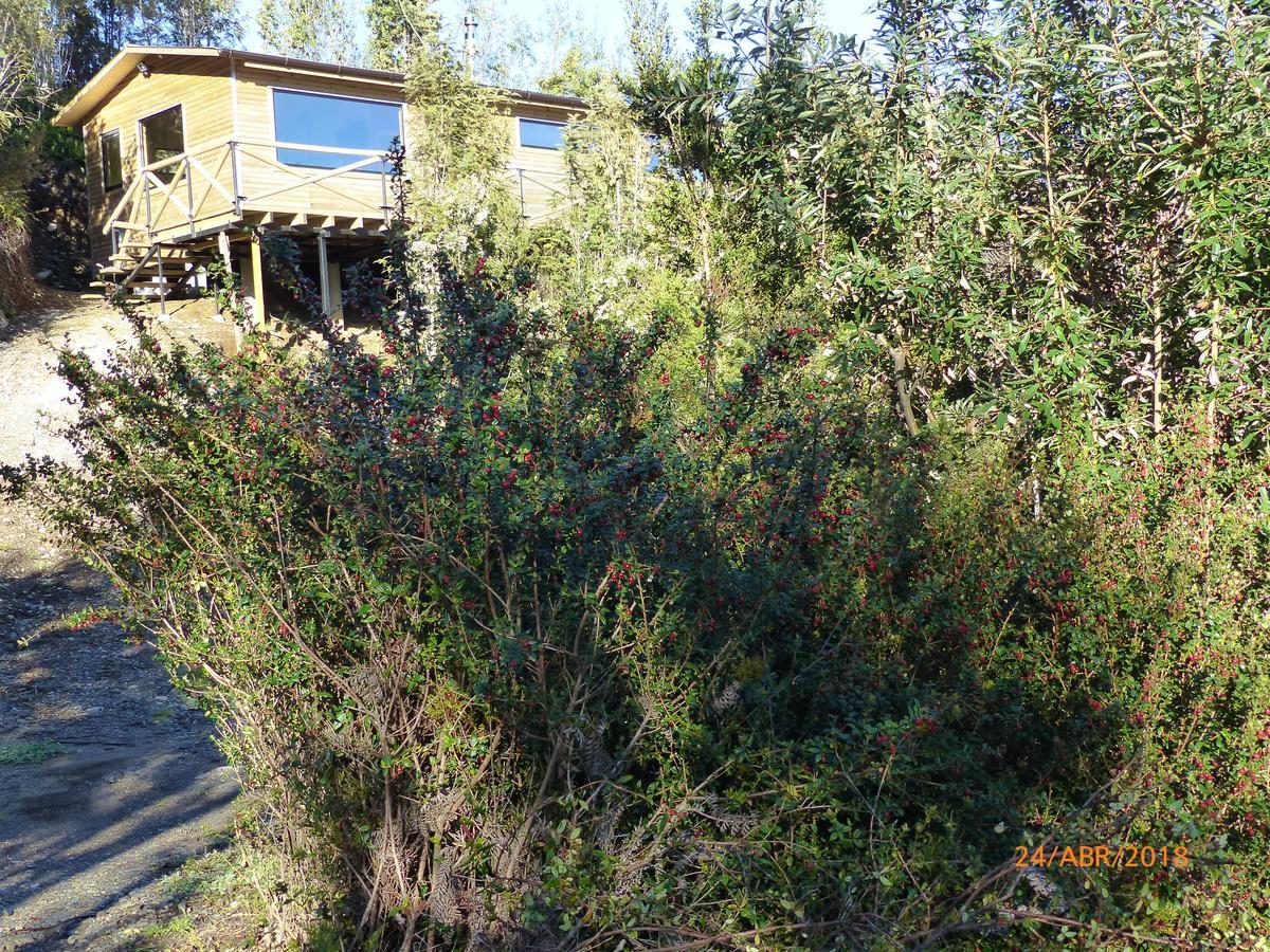 Cabanas Latitud 41 Sur Quillaipe Exterior foto